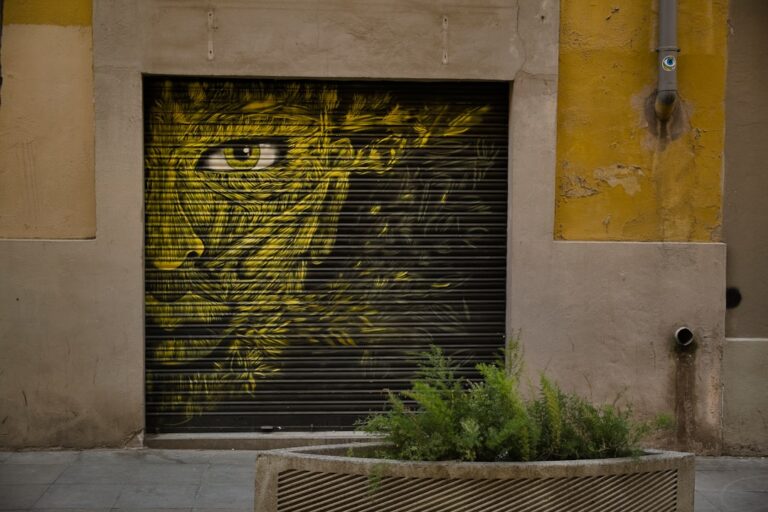 green plant beside yellow wall